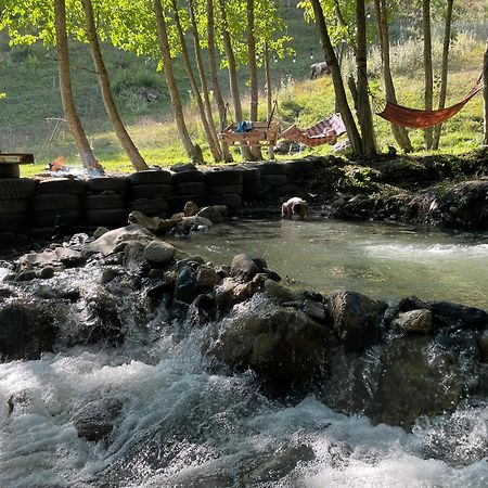 Гостевой дом SVANETI Местия Экстерьер фото
